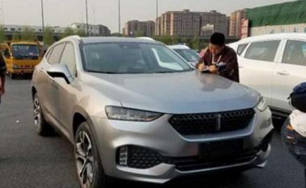 东北小伙买长城WEY，开了一个月，声称：每次看仪表盘都想哭！