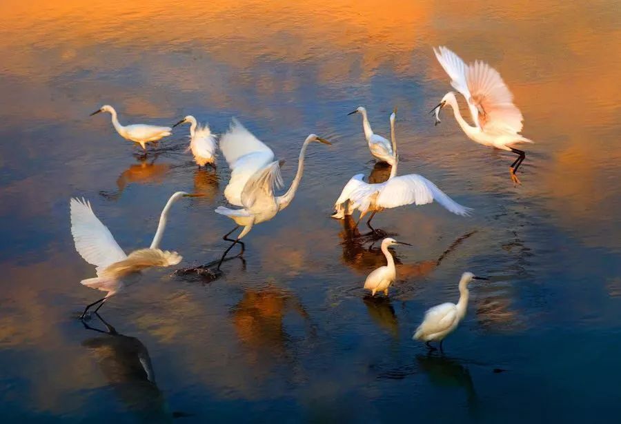 东南沿海上的中国最美海岸线,艳惊全球,举世无