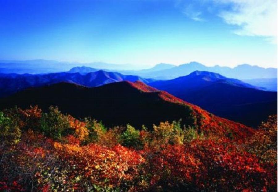 河南三门峡渑池县四个值得一去的旅游景点,喜