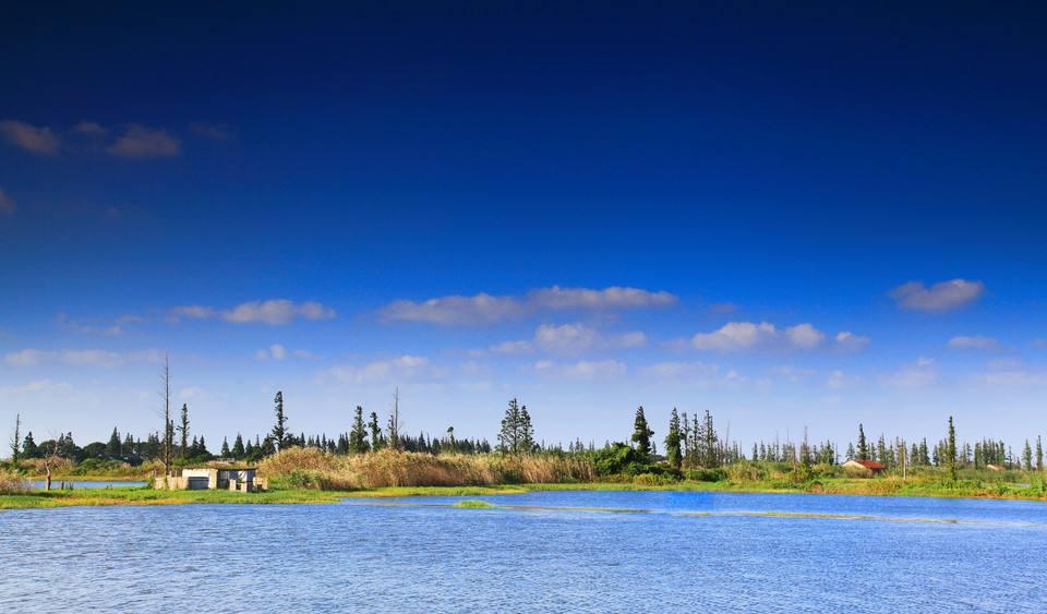 印度孟买VS中国上海, 没有对比就没有伤害