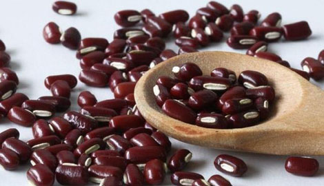 赤小豆是什么 新浪网