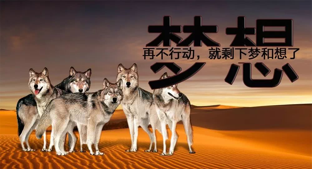 正能量励志早安语录发朋友圈 早上好问候励志