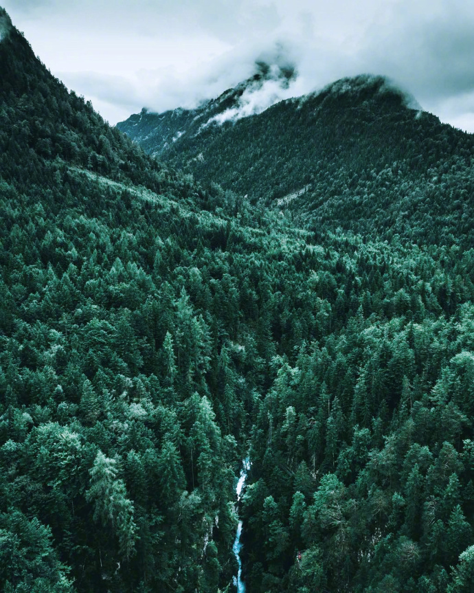 挪威森林,来自大自然的魅力魅力