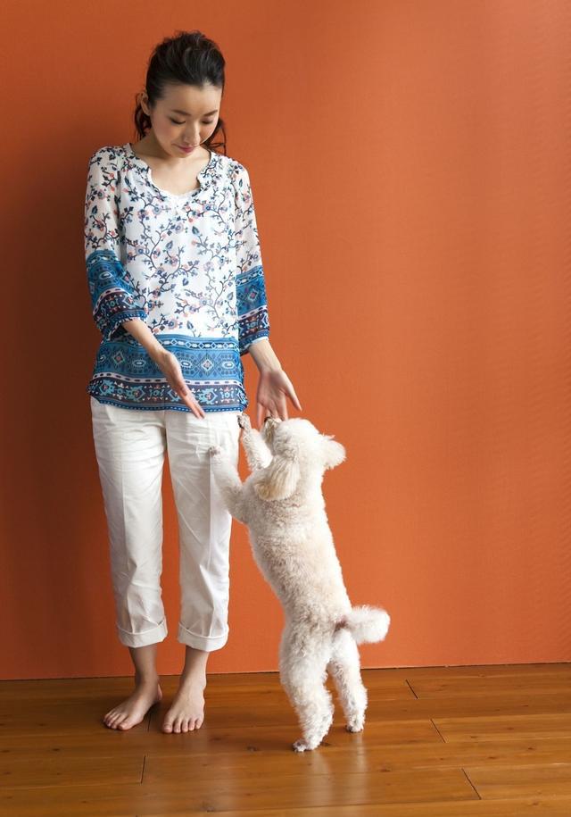 遛弯的时候宠物狗扑人让邻居或路人逃逸,教你