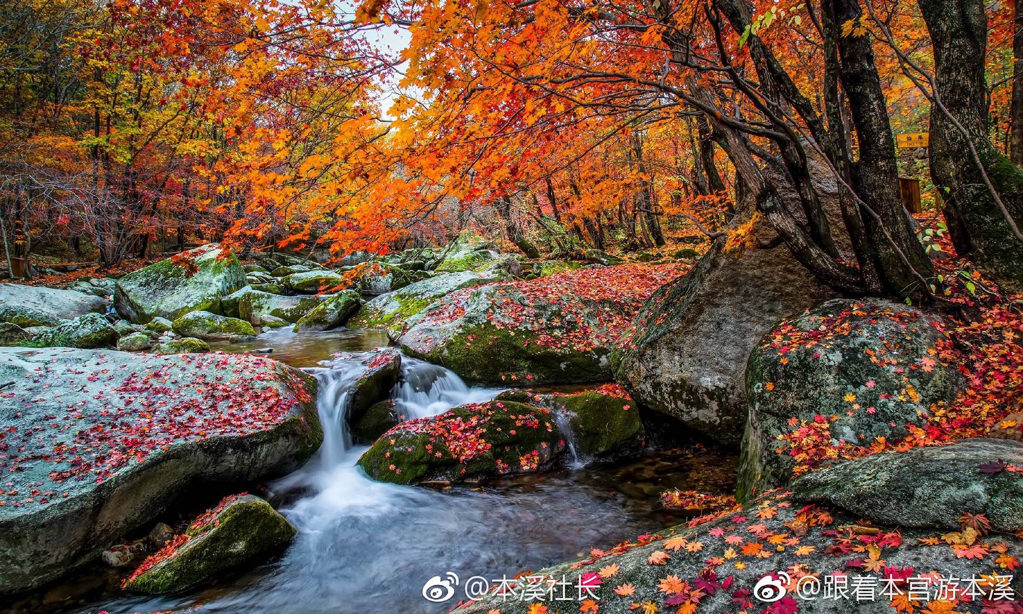 本溪外卖媛联系方式及相关生活服务了解指南