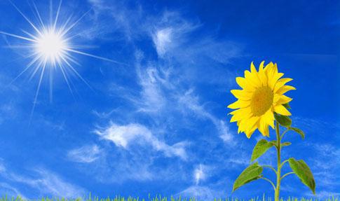 一级和二级注册消防工程师执业范围的不同点,