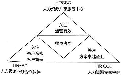 人力资源组织系统将如何演变?