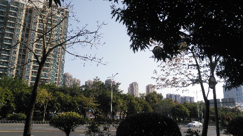 听人的说深圳天气好热,不知事实如何?!