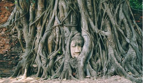 跟随泰剧《天生一对》体验泰国历史文化景点