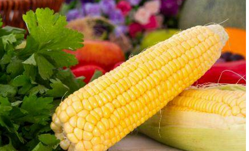 煮玉米用热水还是凉水下锅?难怪又老又硬,教您