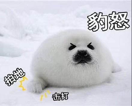 宝宝现在很生气萌萌的gif表情包