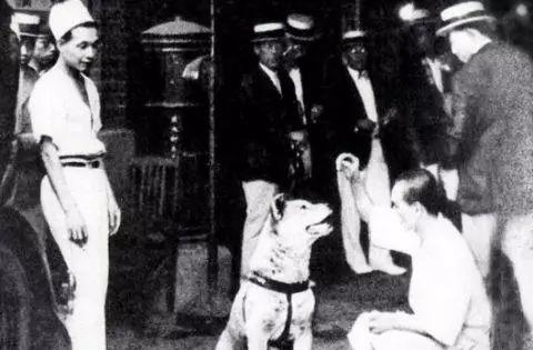 电影《忠犬八公》中真正的八公原型原来是这样的