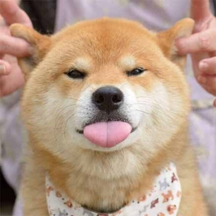 不开心就跟我一起吐吐舌头,略略略略略