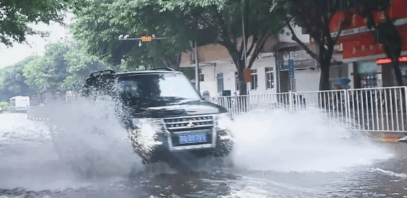 全球最耐用的车排行榜, 奔驰都排倒数第一, 没想到第一是“山猫”