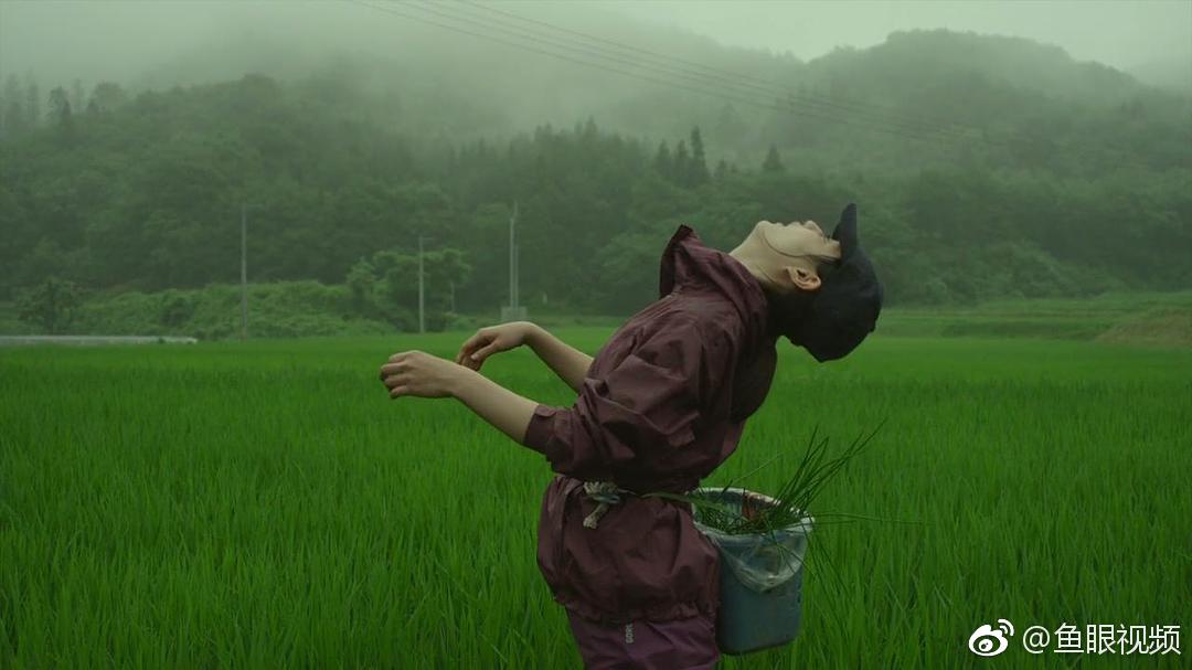 电影里的夏天·小森林