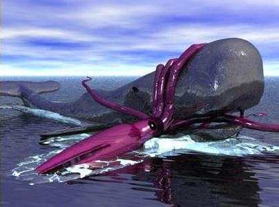 地球上最大的乌贼, 长80米重达50吨, 生活在深海常与鲸鱼搏斗