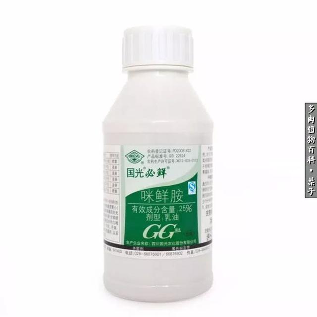 春天万物复苏,你的多肉杀虫杀菌了吗?