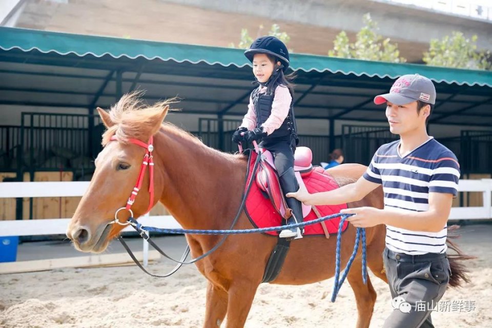 江夏庙山有一的所贵族学校!一年学费高达10余