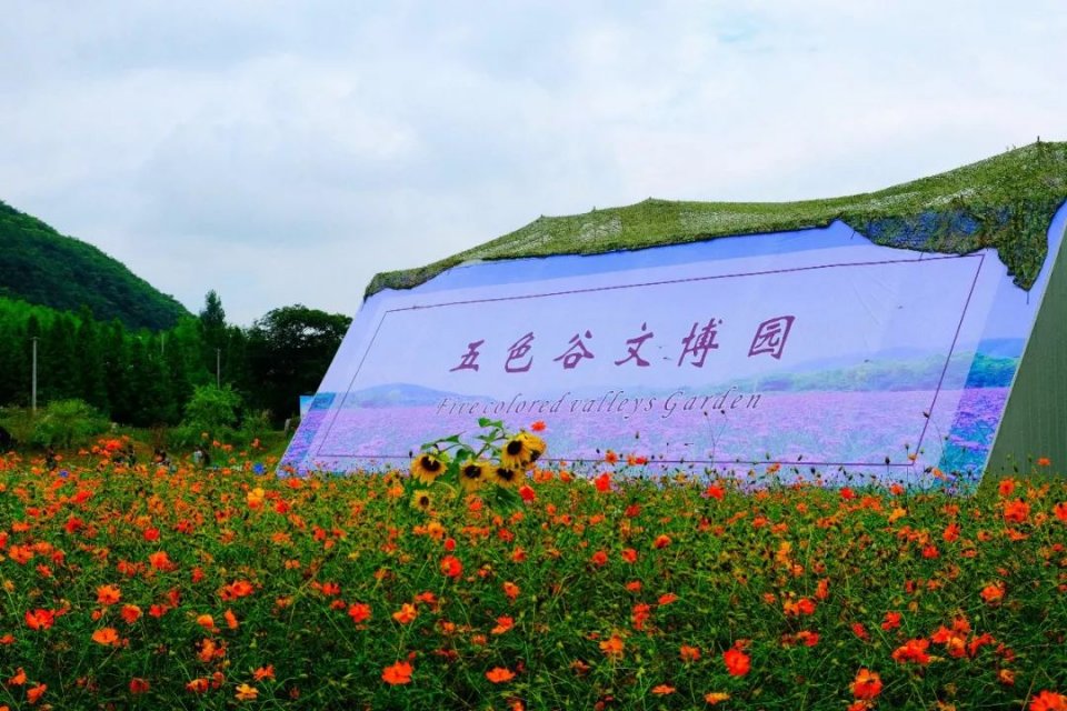 关于广德 关于这1000亩花海 有个从未听说过的地方叫五色谷