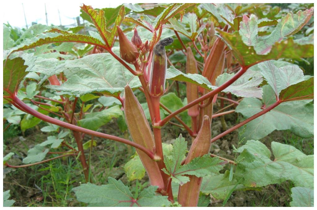 你认为中国最厉害的宰相是谁?