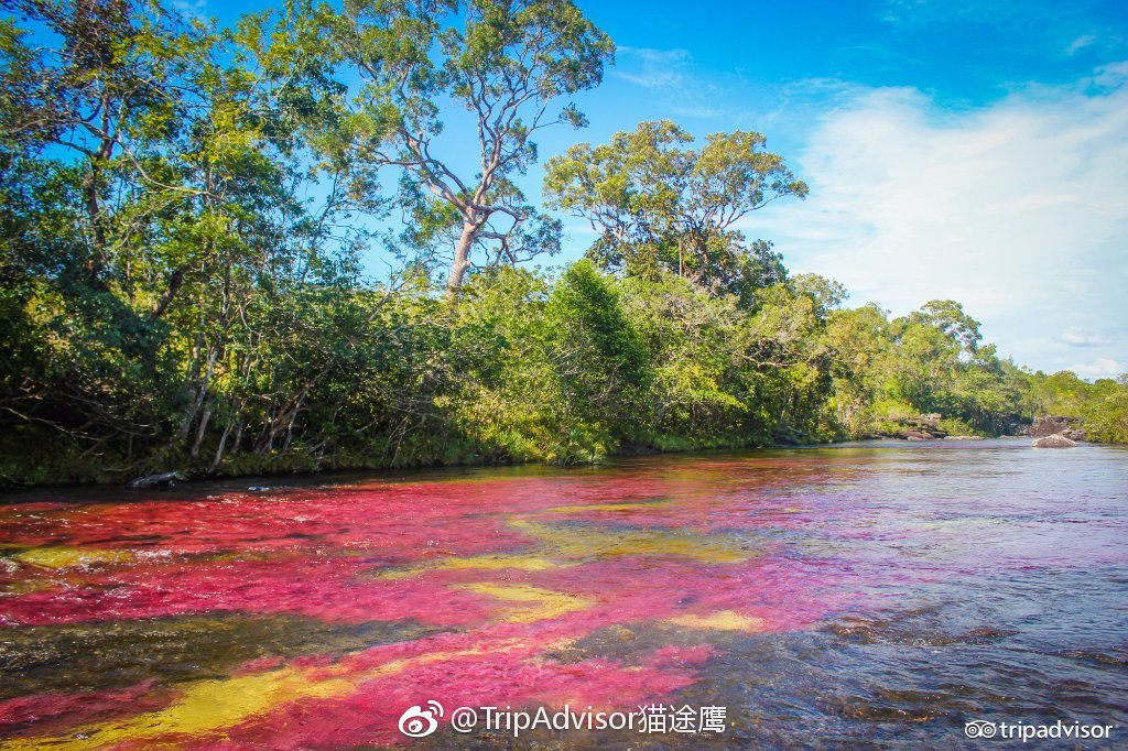 哥伦比亚·彩虹河,用户michelman说