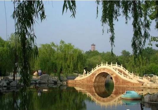 最近抖音上大火的潍坊,有这些地方值得一去!