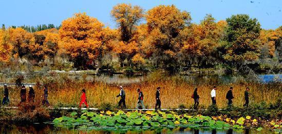 中国西北五省总共有多少个5A级旅游景区, 你知