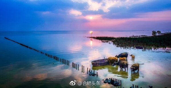 环巢湖将打造国家级风景廊道