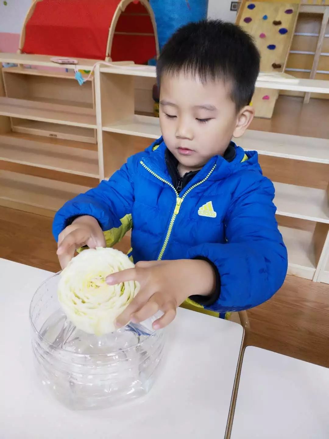 【汇爱幼托班户外课】走出教室,亲近大自然