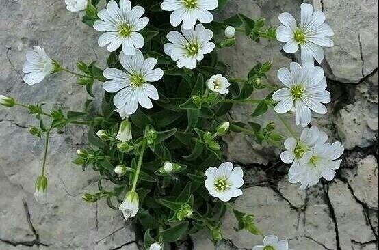 非常经典的句子:做好自己,珍惜人生