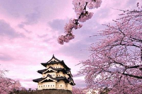 日本大阪市必去的六大景点,第三处像是人间仙