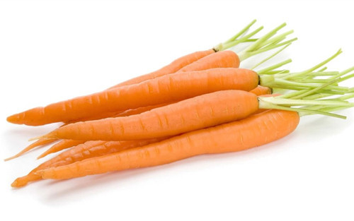 金毛眼屎多怎么来处理,三个月金毛眼屎很多