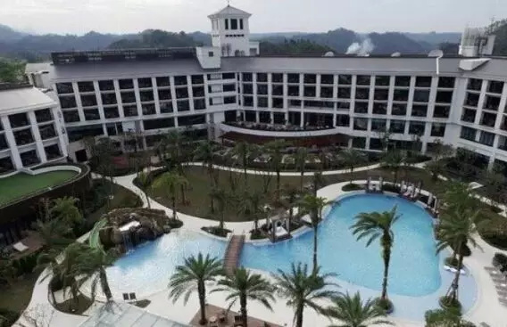 何原资嫁给道明寺乱亲,杉菜嫁给美作?