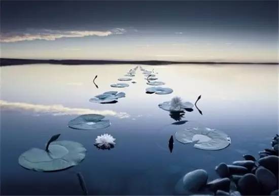 冯友兰:何为人生的最高境界?