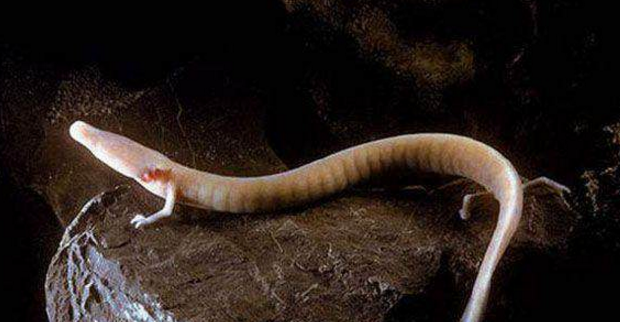 昆仑山背后有什么隐藏的秘密,至今为止,大家一