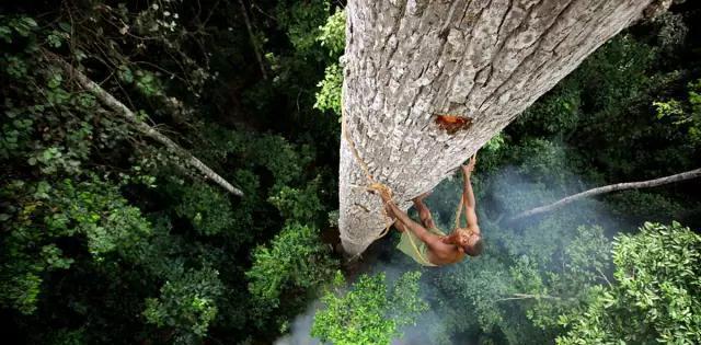 BBC9部9.0以上评分的纪录片, 孩子寒假收心必