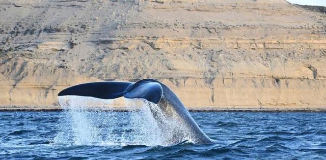 阿根廷10大最著名旅游景点, 全球最美自然风光