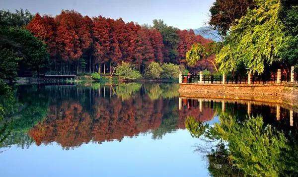 在广州这52个景点适合情侣们周末游玩