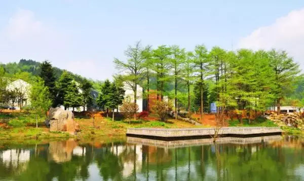 距杭州2h，上海3h，有条最美公路，醉美秋色宛如喀纳斯画廊！