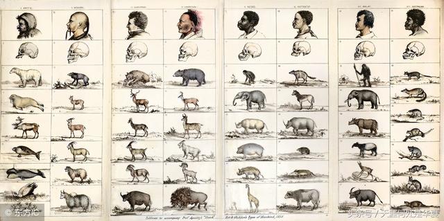 北大学者:基因学已经证明中国人和中国文明只