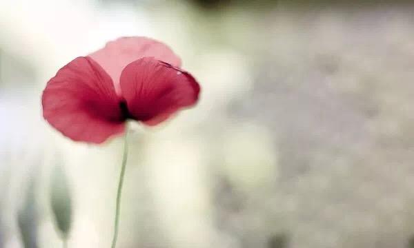 余生不长,怎么开心怎么过!