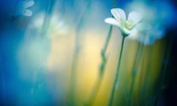 余生不长,怎么开心怎么过!