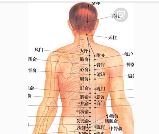 灸除百病的智慧(5)单桂敏