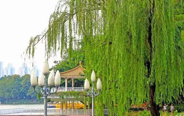 深圳最适合一日游的地方, 不要再说周末没有地