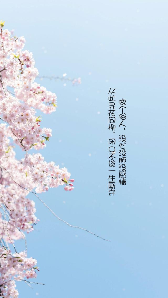 很火句子,做个俗人,从此清风配浊酒,漫漫长路我