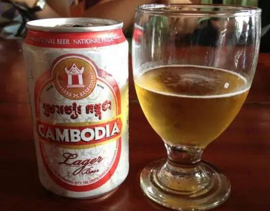 平安树叶子发黄,用这种水浇灌,15天后叶片恢