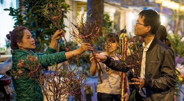 越南和我们一样很重视春节,看看主席也与民同