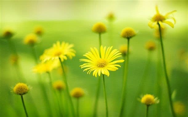 情感语录:最近抖音上很火的一段话