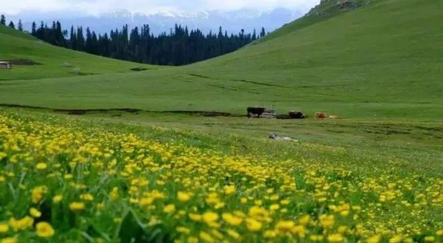 2018年新疆环线旅游路线推荐