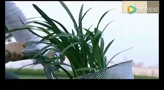 跑车被人刮花了，车主却躲在一旁看热闹!